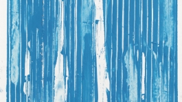 img-esempio-5